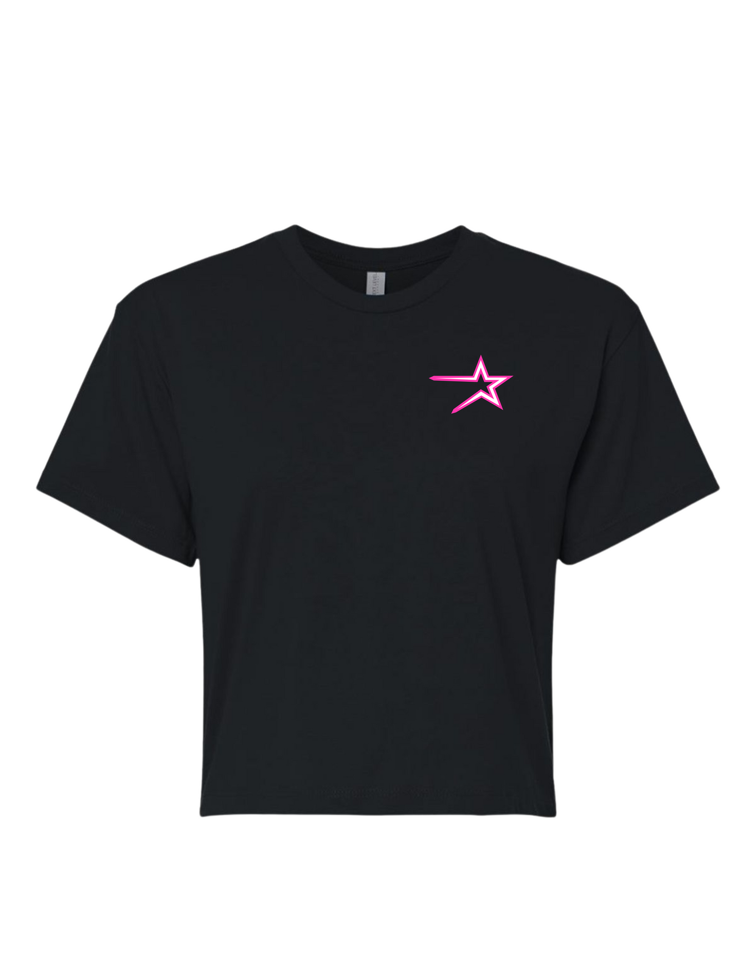 Northstars Cropped Embroidered T-Shirt (Women's)